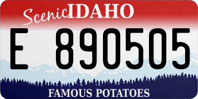 ID license plate E890505