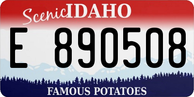ID license plate E890508