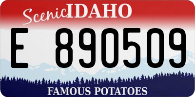 ID license plate E890509