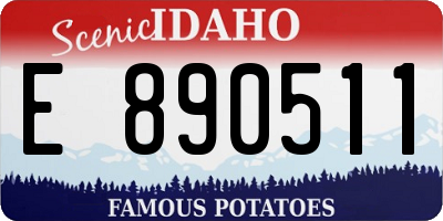 ID license plate E890511