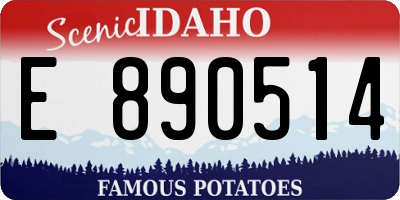 ID license plate E890514