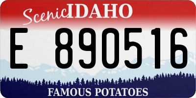 ID license plate E890516