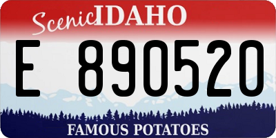 ID license plate E890520