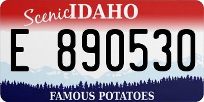 ID license plate E890530