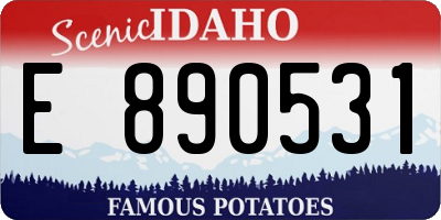ID license plate E890531