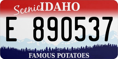 ID license plate E890537