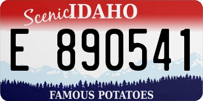 ID license plate E890541