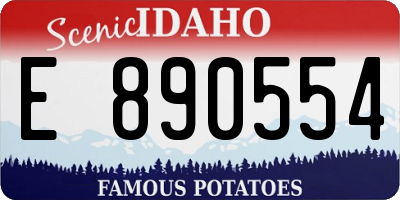 ID license plate E890554