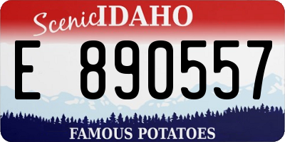 ID license plate E890557