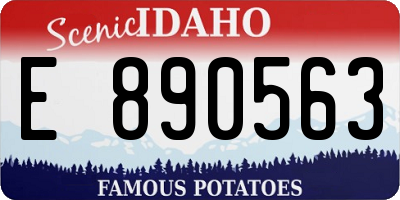 ID license plate E890563