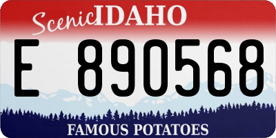 ID license plate E890568