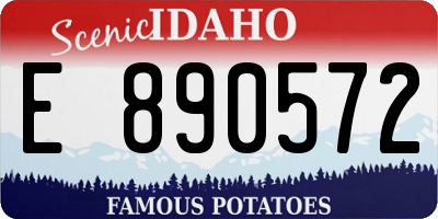 ID license plate E890572