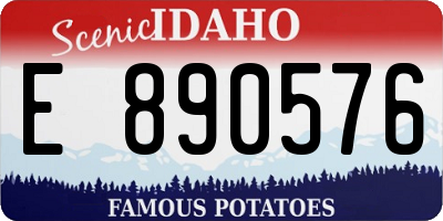 ID license plate E890576