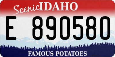 ID license plate E890580