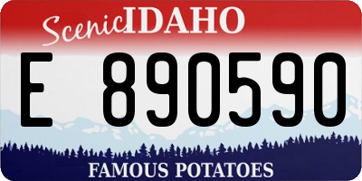 ID license plate E890590