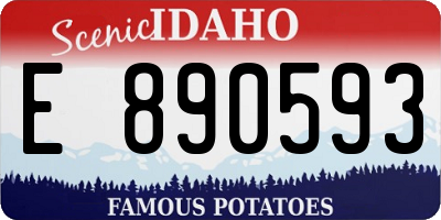 ID license plate E890593