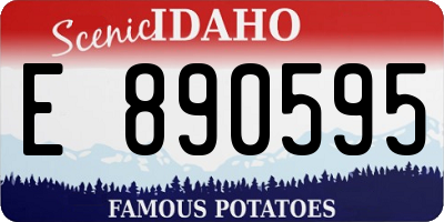 ID license plate E890595