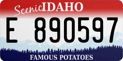 ID license plate E890597