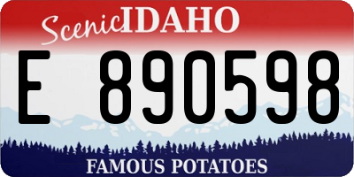 ID license plate E890598
