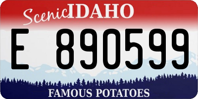 ID license plate E890599