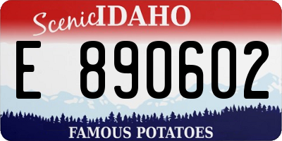 ID license plate E890602