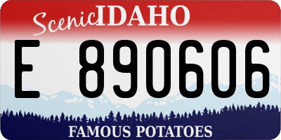 ID license plate E890606