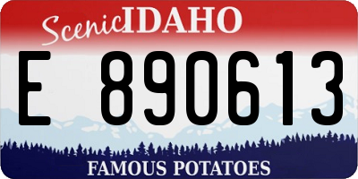 ID license plate E890613
