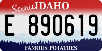 ID license plate E890619