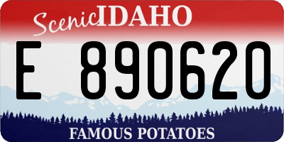 ID license plate E890620