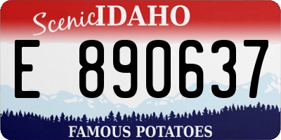 ID license plate E890637