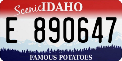 ID license plate E890647
