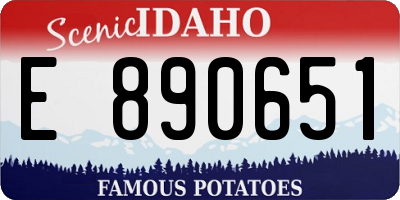 ID license plate E890651