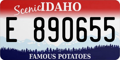 ID license plate E890655
