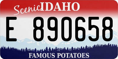 ID license plate E890658