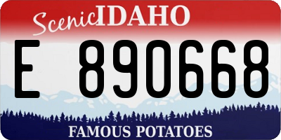 ID license plate E890668