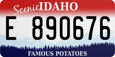ID license plate E890676