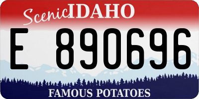 ID license plate E890696