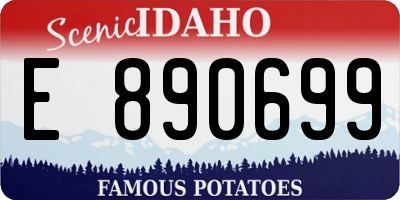 ID license plate E890699