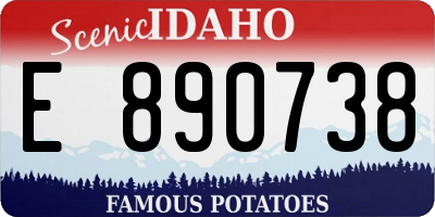 ID license plate E890738