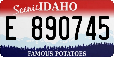 ID license plate E890745