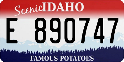 ID license plate E890747