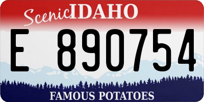 ID license plate E890754