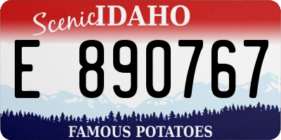 ID license plate E890767