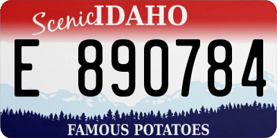 ID license plate E890784