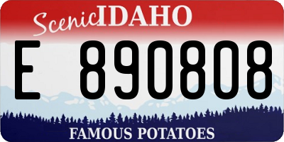 ID license plate E890808