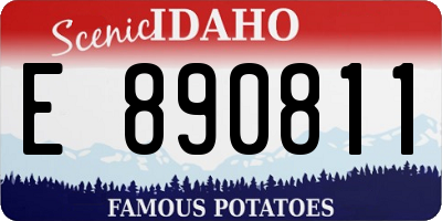 ID license plate E890811