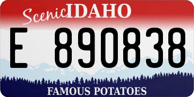 ID license plate E890838