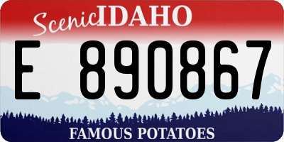ID license plate E890867