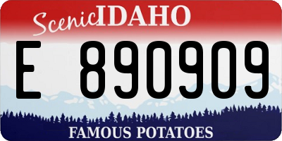 ID license plate E890909