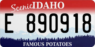 ID license plate E890918